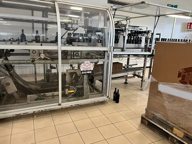 Case Packer Wrap-Around Baumer Flex 512/3