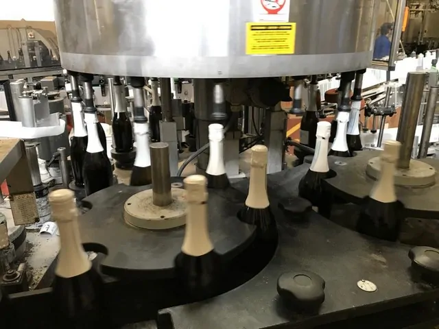 labeller Cavagnino&Gatti 7.000 bph